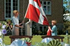 Dano Mast flagstang 12 meter