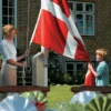 Dano Mast flagstang 6 meter