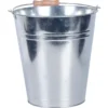 Spand med træhåndtag zink 10 liter - Garden®