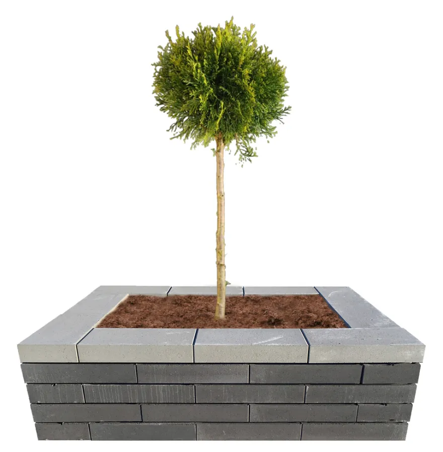 Topplade Nordic Wall koks